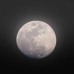 dmytro-koplyk-mj_PJw9KZh4-unsplash